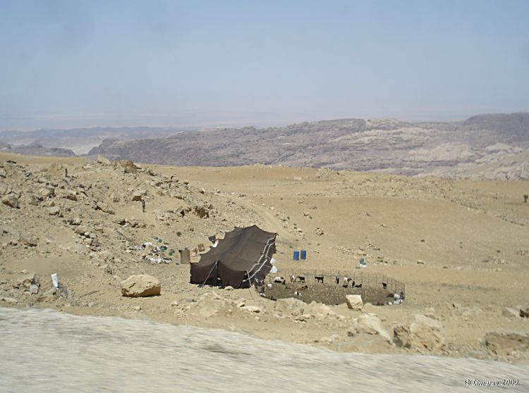 Палатка бедуинов в Иордании.(фото Лимарева В.Н.)