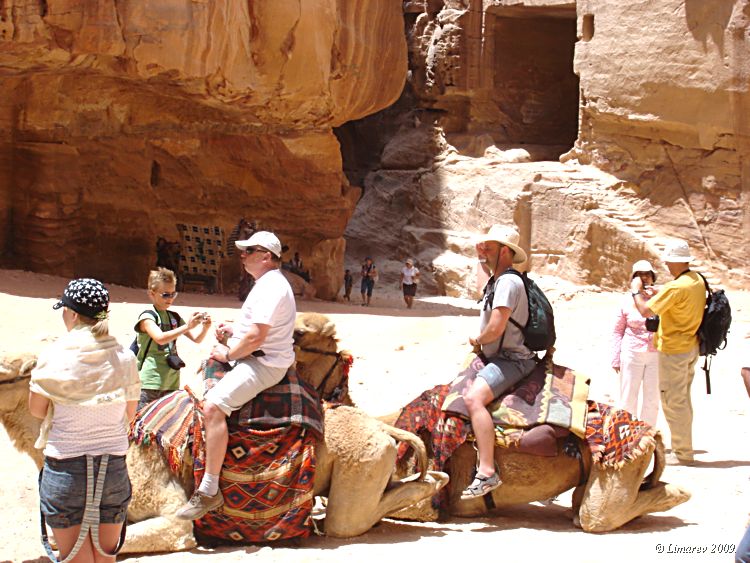 Туристы на верблюдах  в Иордании.(фото Лимарева Олега.)