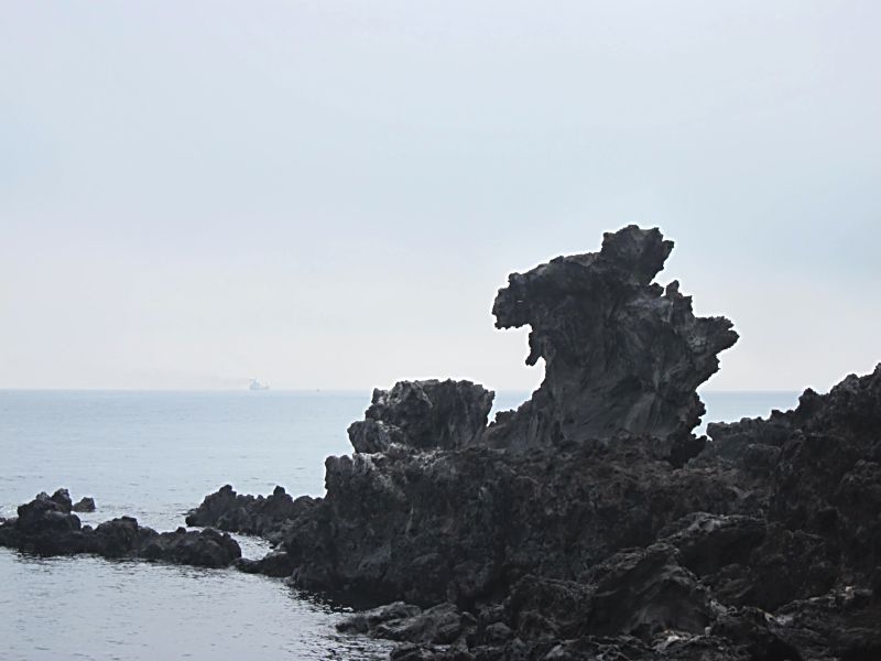 Черный дракон на острове Чуджудо. Южная Корея. (Фото Лимарева В.Н.)