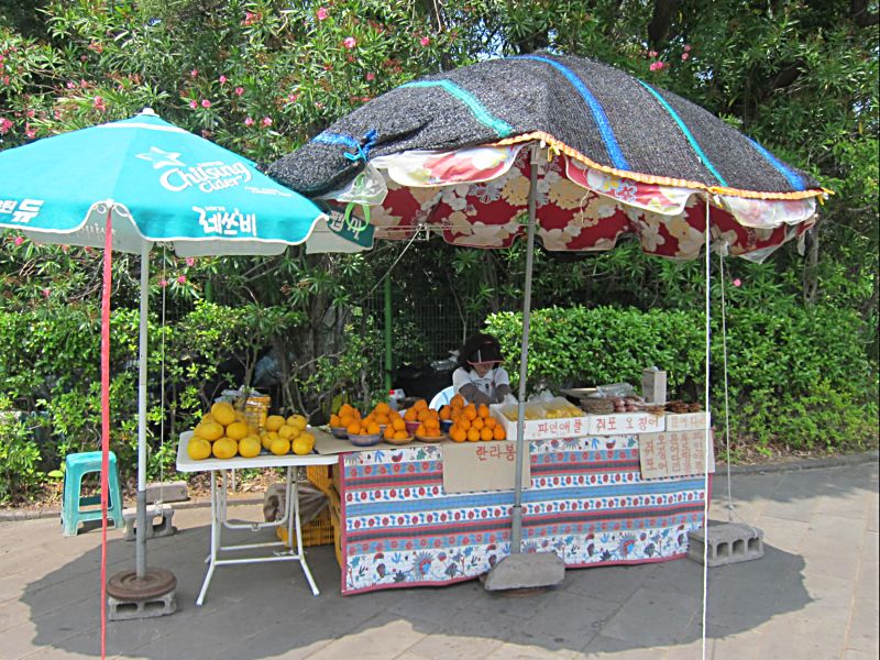 Купите мандарины на острове Чуджудо.  Южная Корея. (Фото Лимарева В.Н.)