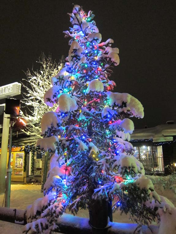 Новогодняя елка в Лапландии. (фото Лимарева В.Н.)