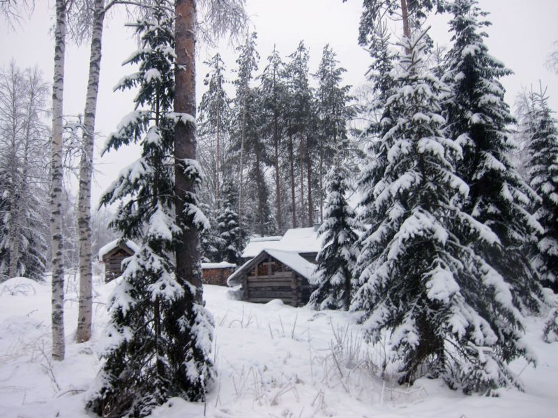  Зима в Финляндии. Горнолыжный курорт Коли. (Фото Лимарева В.Н.)