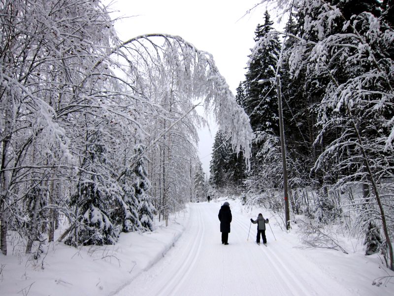  Зима в Финляндии. Горнолыжный курорт Коли. (Фото Лимарева В.Н.)