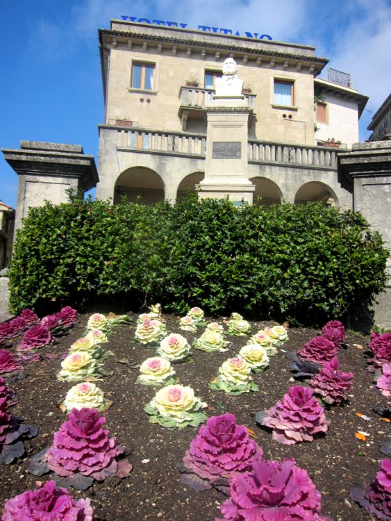 Цветная капуста в Сан-Марино ранней весной. Сан-Марино. Фото Лимарева В.Н. 