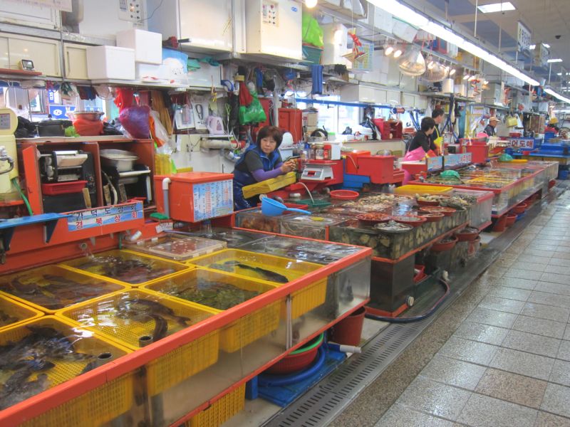Рынок морепродуктов в Пусене.  Южная Корея.  (Фото Лимарева В.Н.)