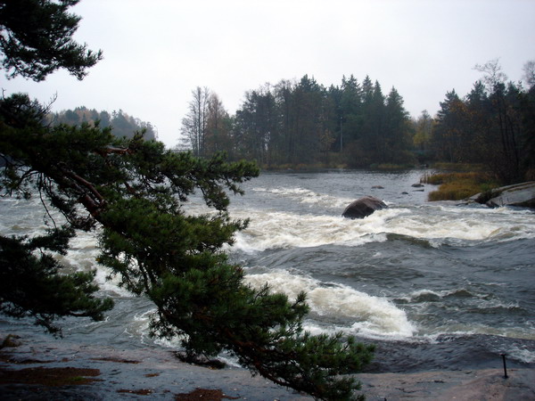 Пороги реки Клюмийоки в Лангинкоски. Финляндия (Фото Лимарева В.Н.)